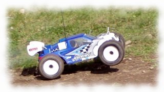 Nitro truggy 1:8